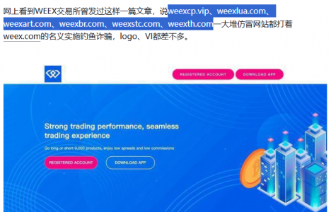 别再被骗了!WEEX整理五大最常见加密骗局类型